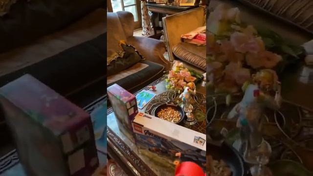 День Рождения Лизы и Гарри Галкиных! смотреть онлайн