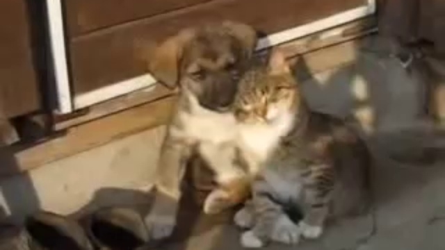 Друзья смотреть онлайн