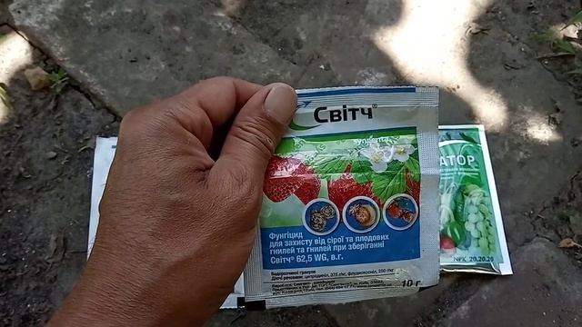 Строительный Дайджест