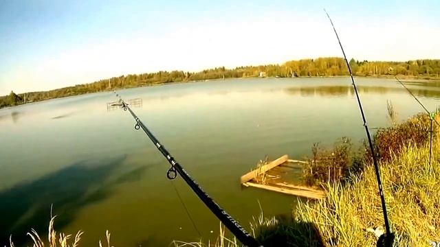 Рыбалка. Карпята в Петряихе. Сентябрь 2015 смотреть онлайн