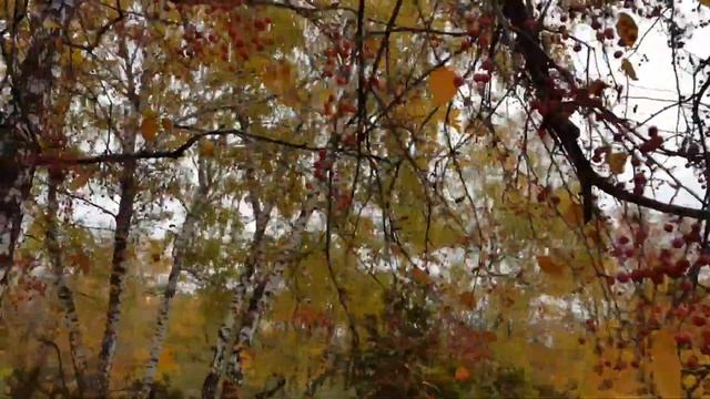 ОСЕННИЙ БОТАНИЧЕСКИЙ САД 2021г?/СЕМЬЯ ИЗ САМАРЫ смотреть онлайн