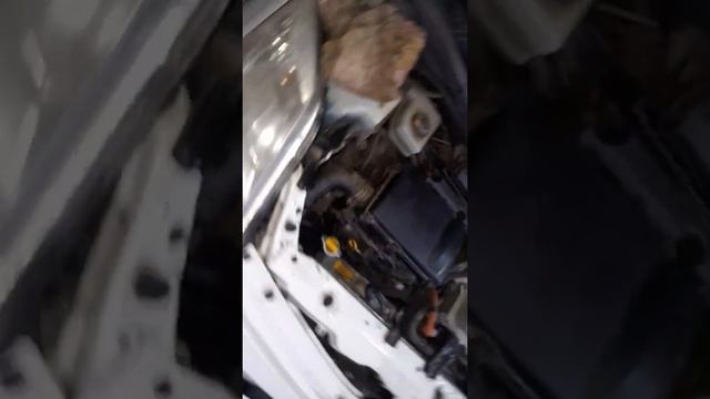 Где находится термостат на 20-м Приусе смотреть онлайн