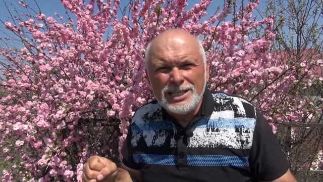 ЛУИЗЕАНИЯ! ПОСАДИТЕ ЭТО НЕМЕДЛЕННО!