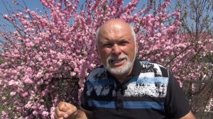 ЛУИЗЕАНИЯ! ПОСАДИТЕ ЭТО НЕМЕДЛЕННО!