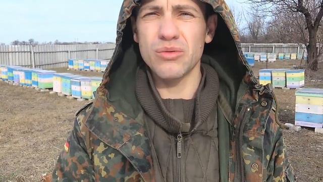 На пасеке после шквального ветра 12.03.2019. смотреть онлайн