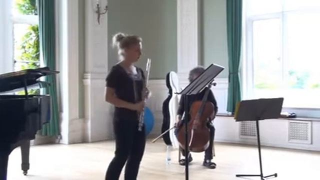 F. Schubert: Sonata in a minor for Arpeggione and piano, D. 821, I mov. Part 4/7 смотреть онлайн