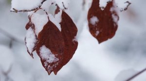 28 февраля народный праздник Онисим Зимобор. Народные запреты, приметы, традиции и обряды.