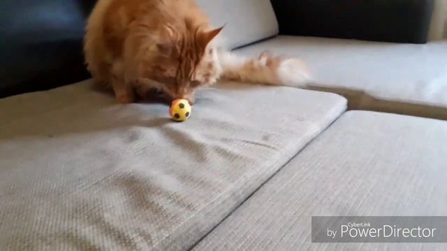 мейн-кун Диксон играет на бабки смотреть онлайн