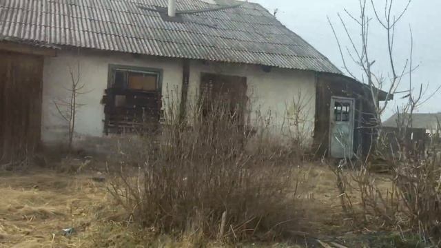 ГДЕ СЕЙЧАС МОЙ СЫН ВО ВРЕМЯ КАРАНТИНА? БЫВШАЯ ДАЧА ОЛЬГИ БРУКМАН. смотреть онлайн