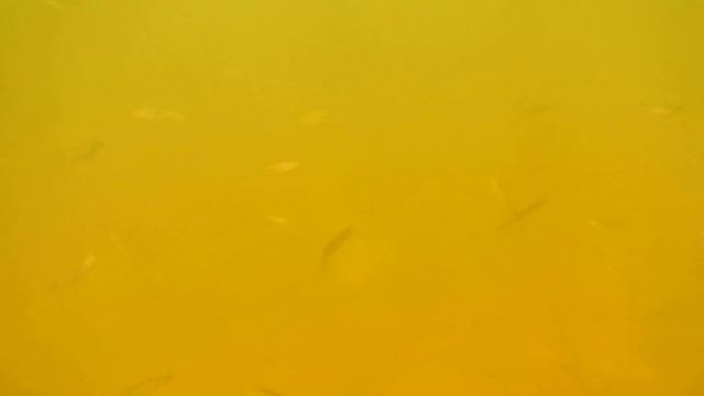 Озеро Нахимовское 03-04.08.13 смотреть онлайн