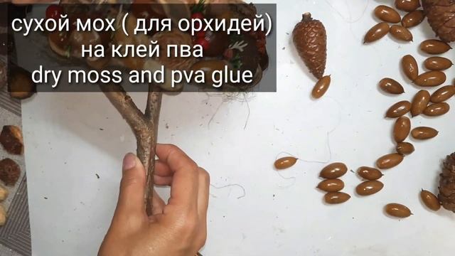 Осенний топиарий с каштанами и нестандартной кроной. Autumn topiary with a flat crown. смотреть онлайн