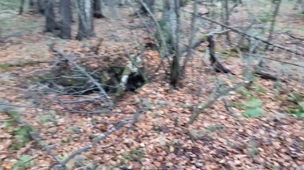 Золото Урала Ural Gold