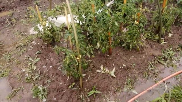 Преображение стола! Замена водонагревателя! КОШМАР ДЛЯ ДАЧНИКОВ! Ремонт забора! смотреть онлайн