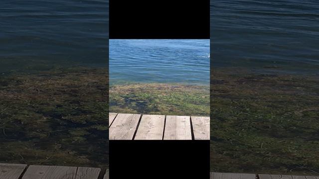 расчистка карьера смотреть онлайн