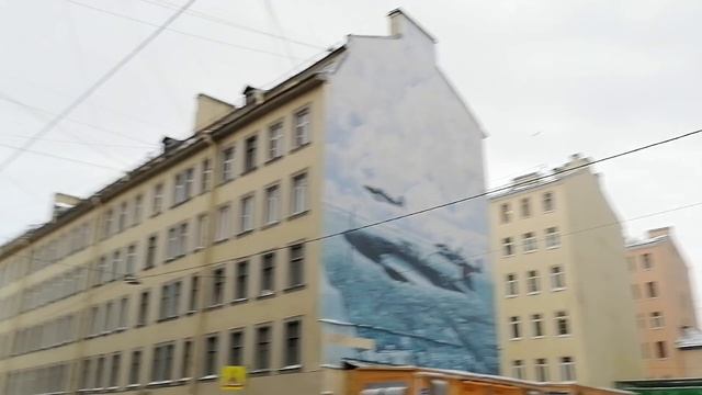 Санкт-Петербург. Улица Большая Зеленина. 30.11.2023. смотреть онлайн