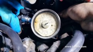 Проверка давления подкачки в ТНВД Ford Transit 2.4TDCi