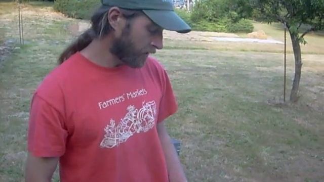 Honey Tree Apiaries- Oregon Beekeeper смотреть онлайн