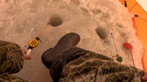 Ловля густеры зимой