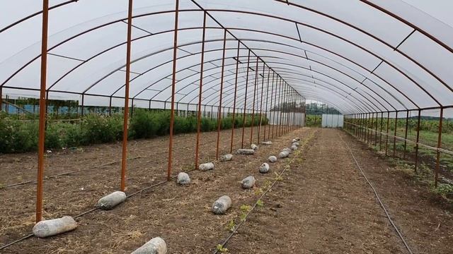 Супер Теплица на 16 соток!!! Для ягодных и овощных культур. 150×11 метров. смотреть онлайн