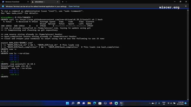 Install NVM & Node.js on Ubuntu WSL Windows11 смотреть онлайн
