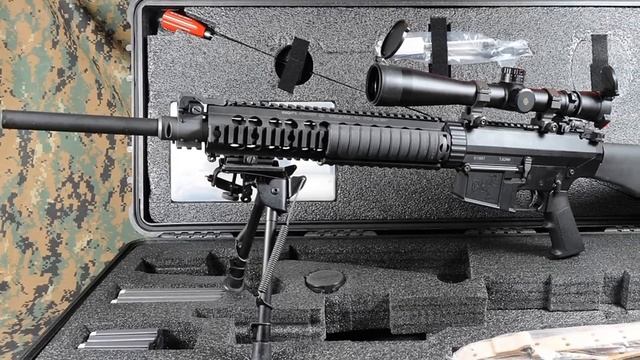 SR-25 e M110 SASS. Os preferidos das forças especiais? смотреть онлайн