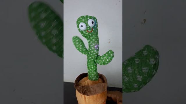 Cactus 🌵... Dance.... happy birthday to you.... смотреть онлайн