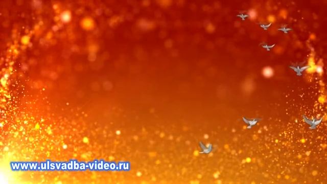 Футаж Фотосессия молодоженов смотреть онлайн