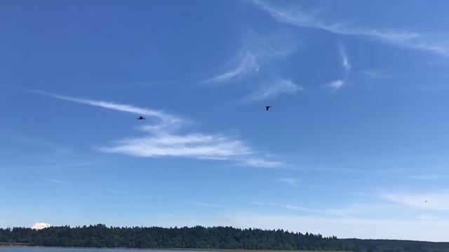 Nisqually Kayak 3 смотреть онлайн