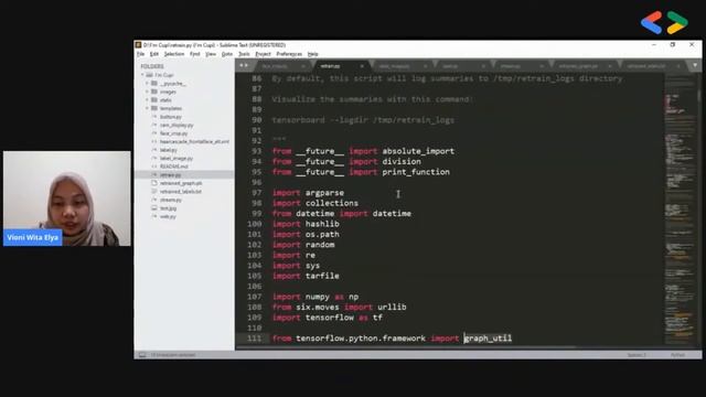 Face Expression Detection with TensorFlow and OpenCV - Vioni Wita Elya смотреть онлайн