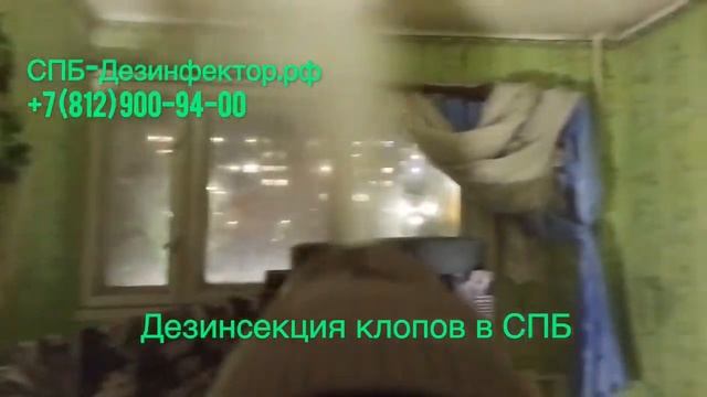 КЛОПЫ ПОДГОТОВКА КВАРТИРЫ Уничтожение клопов в СПб туманом +7(812)900-94-00 СПб Дезинфектор СЭС смотреть онлайн