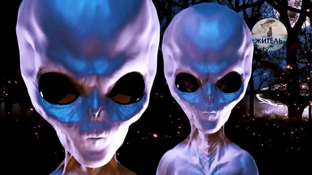 Они уйдут когда закончится Контракт Нас продали ИМ за технологии Дэррил Анка смотреть онлайн