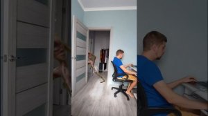 Картун Кэт, Картун Дог, Сиреноголовый, Мороженщик и монстры SCP против Нёрф / сборник #shorts