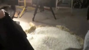 Bean Bag Adventure (read description)