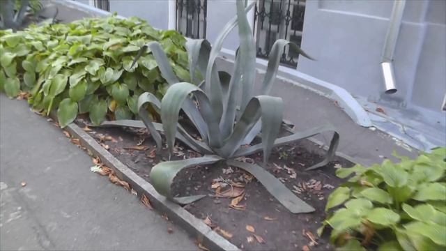 Винница, музей-усадьба Николая Пирогова смотреть онлайн