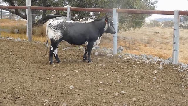 tag 93 MM Mt Mill 15 10 19 16 смотреть онлайн