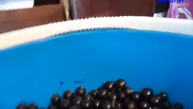 МЕГА СМОРОДИНА смотреть онлайн