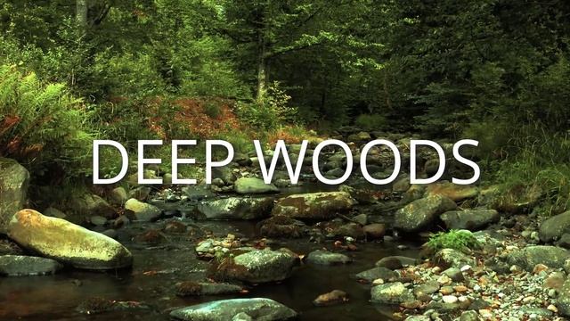Forest Game Music | Deep Woods смотреть онлайн