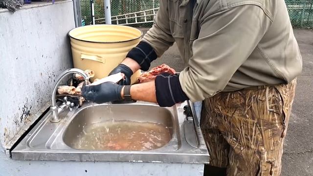 ХОЛОДЕЦ ИЗ ЛОСЯ И ФАЗАНА РЕЦЕПТ ОХОТА В РОССИИ СЮФ КРАСНОДАРСКИЙ смотреть онлайн