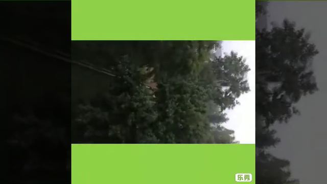 Затоп в прелуках Минск. смотреть онлайн