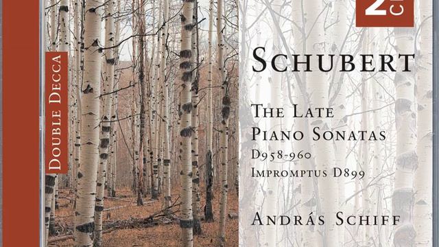 Schubert: Piano Sonata No. 20 in A, D.959 - 3. Scherzo (Allegro vivace) смотреть онлайн