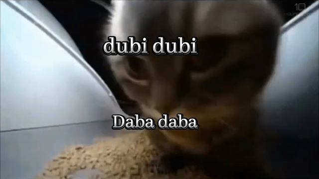 Cipi cipi çapa çapa kedinin şarkı sözleri смотреть онлайн