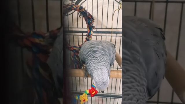 давай смотреть онлайн