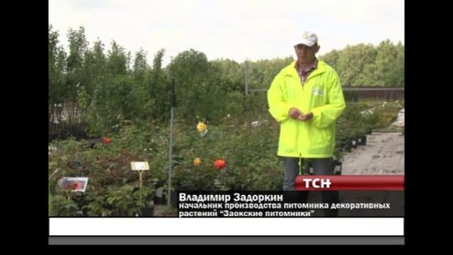 Защита декоративных растений от вредителей смотреть онлайн