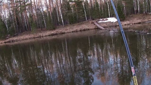 Ловля чебака на поплавочную удочку. День третий. смотреть онлайн