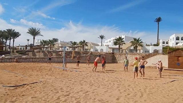 Египет, Шарм-эль-Шейх 2016. Отель Sunrise Diamond Beach 5*. Пляжный волейбол