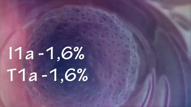 КТО ТАКИЕ БОЛГАРЫ? ПРОИСХОЖДЕНИЕ НАРОДА! смотреть онлайн