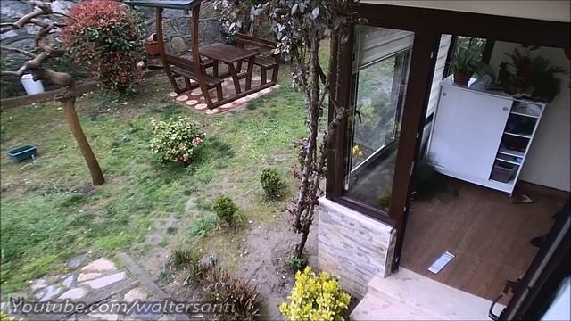 Cats Throwing A Party While The Owners Are Out !! (Caught on Security Camera) смотреть онлайн