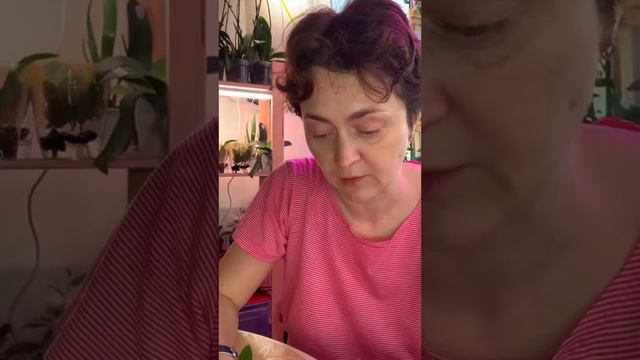 Реанимашки. Пень. Детки. Сеянец. смотреть онлайн