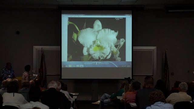2015 - Keith Davis Part 3 (Growing Better Cattleyas), 5th Annual Cattleya Symposium смотреть онлайн