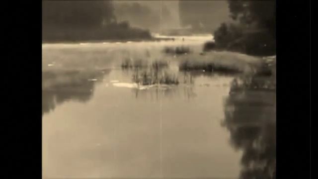 Манго Манго   Щорс